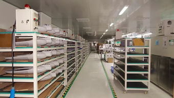 響應一帶一路倡議，燈具塑件企業積極拓展海外市場